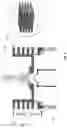 Fig. 04 - Air-cooled interface for inductively coupled plasma mass spectrometer (ICP-MS)
