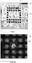 Fig. 02 - Solder paste stencil with aperture wall coating