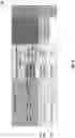 Fig. 06 - Solder paste stencil with aperture wall coating