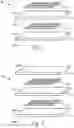 Fig. 02 - Multilayer Sheets, Methods of Manufacture, and Articles Formed Therefrom