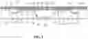Fig. 03 - Foldable display device