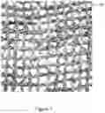 Fig. 02 - Apparatus and method for establishing and growing vegetation in arid environments