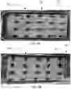 Fig. 03 - Plasma treatment method and system for plants