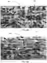 Fig. 06 - Plasma treatment method and system for plants
