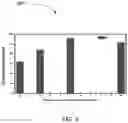 Fig. 07 - Plasma treatment method and system for plants
