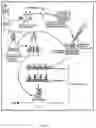 Fig. 06 - PROCESS FOR PRODUCING A GENETICALLY MODIFIED SEED