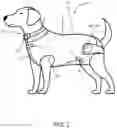 Fig. 02 - PET POTTY TRAINING SYSTEMS