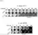Fig. 03 - Methods of protecting seeds from oxidants and microorganisms