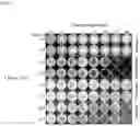 Fig. 04 - Methods of protecting seeds from oxidants and microorganisms
