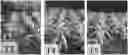 Fig. 01 - METHOD OF IMPROVING PLANT GROWTH