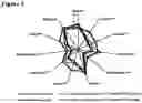 Fig. 04 - SYSTEM AND METHOD FOR SMOKE TAINT ELIMINATION IN FRUITS AND VEGETABLES