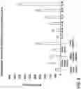 Fig. 07 - High moisture edible compositions and methods of preparation thereof
