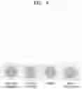 Fig. 10 - Nitrite substitute comprising mixture of plasma-treated vegetable and egg white