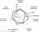 Fig. 01 - COMPOSITION COMPRISING TRANSFRUCTOSYLATED STEVIOL GLYCOSIDE
