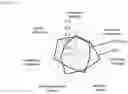 Fig. 03 - COMPOSITION COMPRISING TRANSFRUCTOSYLATED STEVIOL GLYCOSIDE