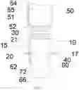 Fig. 08 - Food extrusion temperature controllable device based on material and environment properties