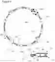 Fig. 10 - Smart Electronic Mask, Headset and Inhaler