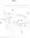 Fig. 07 - COMBINED FACE SHIELD AND MASK ASSEMBLY
