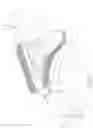 Fig. 03 - Fistula sleeve