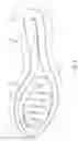 Fig. 09 - ARTICLE OF FOOTWEAR WITH DISPENSED COMPONENTS