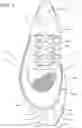 Fig. 04 - Sole structure for article of footwear