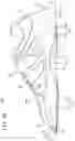 Fig. 13 - Sole structure for article of footwear