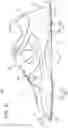 Fig. 22 - Sole structure for article of footwear