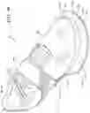 Fig. 30 - Sole structure for article of footwear