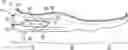 Fig. 01 - Sole structures and articles of footwear having fluid-filled bladder elements
