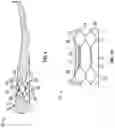 Fig. 06 - Sole structures and articles of footwear having fluid-filled bladder elements
