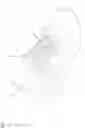 Fig. 10 - Shoe