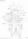 Fig. 14 - Shoe