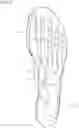 Fig. 17 - Shoe