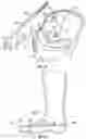 Fig. 19 - Protective footwear