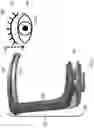 Fig. 02 - EYELASH APPLICATION TOOL