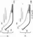 Fig. 06 - EYELASH APPLICATION TOOL