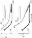 Fig. 07 - EYELASH APPLICATION TOOL