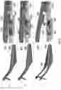 Fig. 11 - EYELASH APPLICATION TOOL