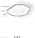 Fig. 02 - Storage case for artificial lash extensions