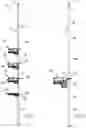 Fig. 02 - Pole caddies with adjustable basket brackets