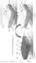 Fig. 08 - Flip cushion chair