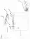 Fig. 09 - Bag and system for use thereof