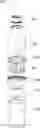 Fig. 01 - DOUBLE-WALL COOLING APPARATUS FOR USE WITH A BEVERAGE CONTAINER