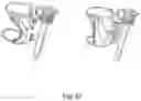 Fig. 69 - ENDOSCOPIC DEVICE WITH ADDITIONAL CHANNEL