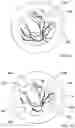 Fig. 06 - Device and method for examining the retinal vascular endothelial function