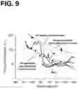 Fig. 10 - Device and method for in vivo flow cytometry using the detection of photoacoustic waves