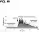 Fig. 20 - Device and method for in vivo flow cytometry using the detection of photoacoustic waves