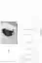 Fig. 50 - DEVICES, SYSTEMS AND METHODS FOR TISSUE ANALYSIS, LOCATON DETERMINATION AND TISSUE ABLATION