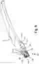Fig. 11 - ANTENNAS FOR A SUBCUTANEOUS DEVICE