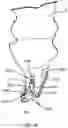 Fig. 72 - ANTENNAS FOR A SUBCUTANEOUS DEVICE